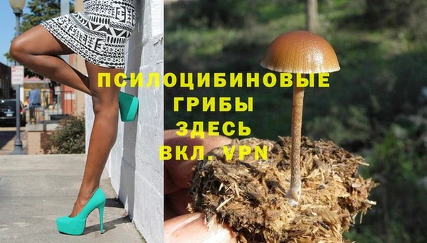 мдма Ладушкин