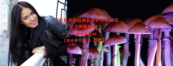 винт Лабытнанги
