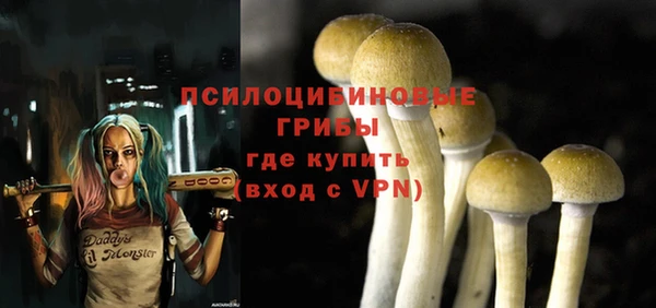 соль ск Балахна