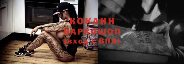 винт Лабытнанги