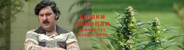 винт Лабытнанги