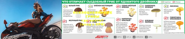 MESCALINE Лагань