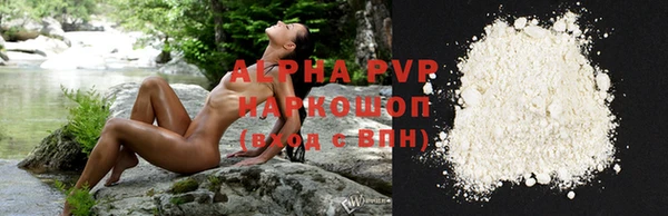 винт Лабытнанги